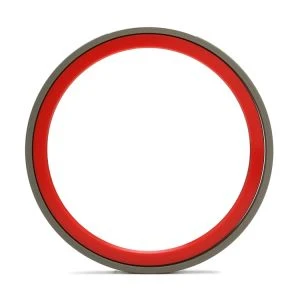 Sellado de bronce del pistón de PTFE
